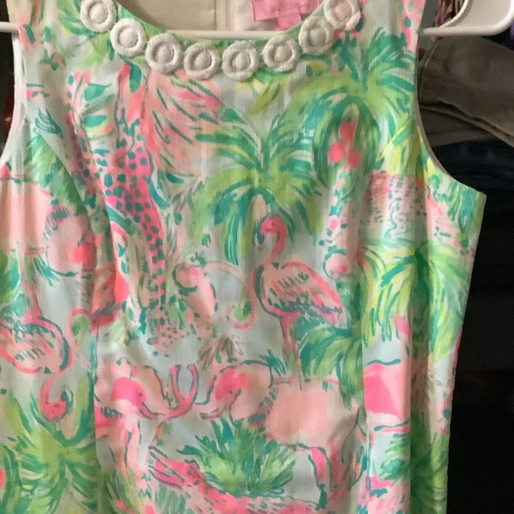 Lilly Pulitzer Floral Dress with Pink and Green On Parade Family‎ Match Preppy